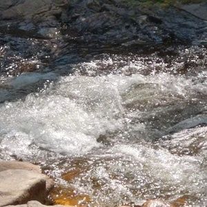 Meet your Posher, Lynn